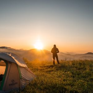 pexels-cliford-mervil-2398220 updated