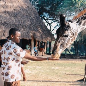 pexels-git-stephen-gitau-1670732